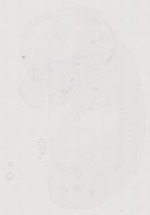 EMAGE:12084