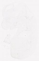 EMAGE:12124