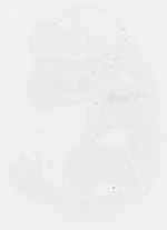 EMAGE:12132