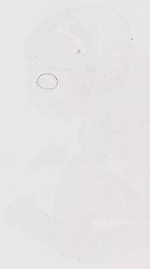 EMAGE:12135