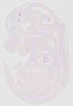 EMAGE:12149