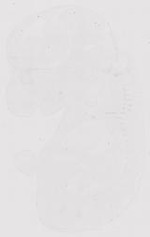 EMAGE:12159