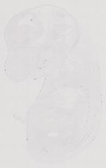 EMAGE:12160