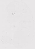 EMAGE:12160