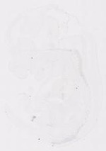 EMAGE:12228