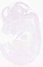 EMAGE:12273