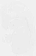 EMAGE:12322