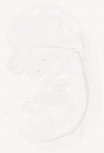 EMAGE:12332
