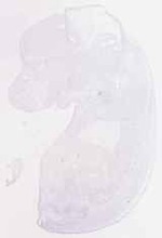 EMAGE:12363