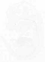 EMAGE:12408