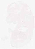 EMAGE:12411