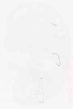 EMAGE:12411