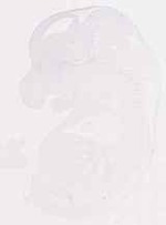 EMAGE:12411