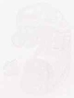 EMAGE:12411