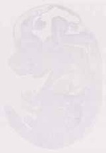 EMAGE:12418