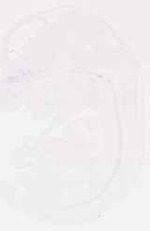 EMAGE:12471