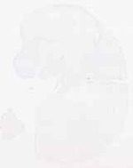 EMAGE:12473