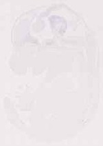 EMAGE:12475