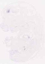 EMAGE:12487