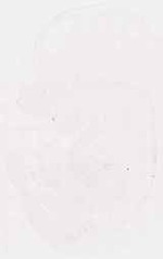 EMAGE:12491