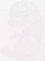 EMAGE:12591