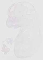 EMAGE:12603