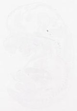 EMAGE:12610