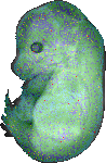EMAGE:12647