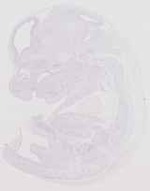 EMAGE:12648