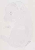 EMAGE:12734