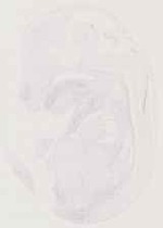 EMAGE:12759