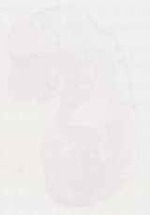EMAGE:12814