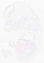 EMAGE:12819