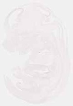 EMAGE:12819