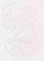 EMAGE:12819