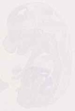 EMAGE:12892