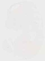 EMAGE:12951