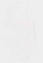 EMAGE:12951