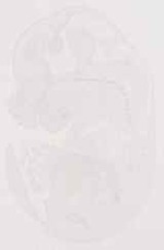 EMAGE:13002