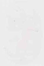 EMAGE:13003