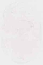 EMAGE:13003