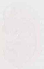 EMAGE:13003