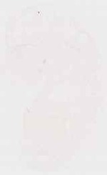 EMAGE:13003