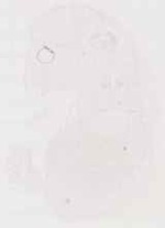 EMAGE:13003