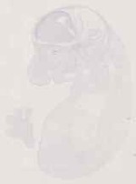 EMAGE:13007