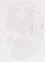 EMAGE:13016