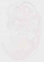 EMAGE:13025