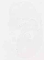 EMAGE:13152