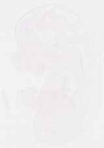 EMAGE:13152