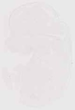 EMAGE:13166